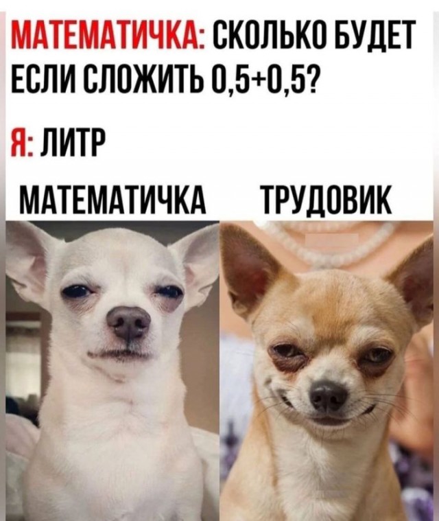 Картинки для деградации 170 (разной степени свежести)
