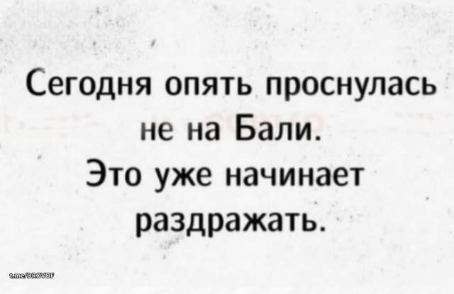 Мемы 30 штук к понедельнику