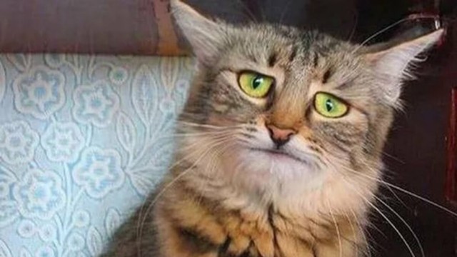 Зампрокурора в Северной Осетии покончил с собой из-за миллионных проигрышей на ставках