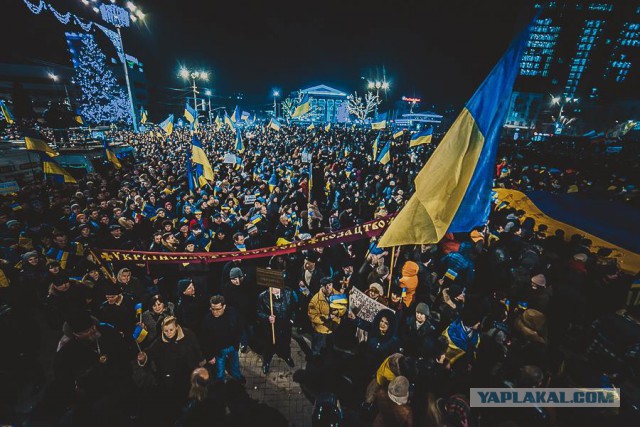 Митингующий Донецк