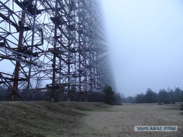 Припять — жизнь после людей.