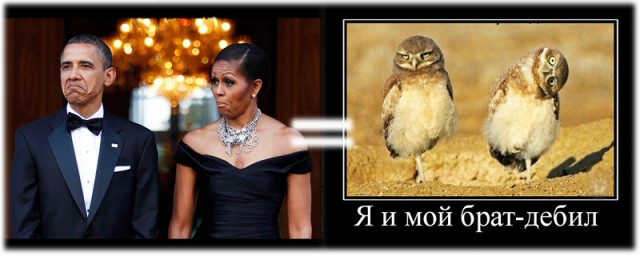 Что-то их удивило