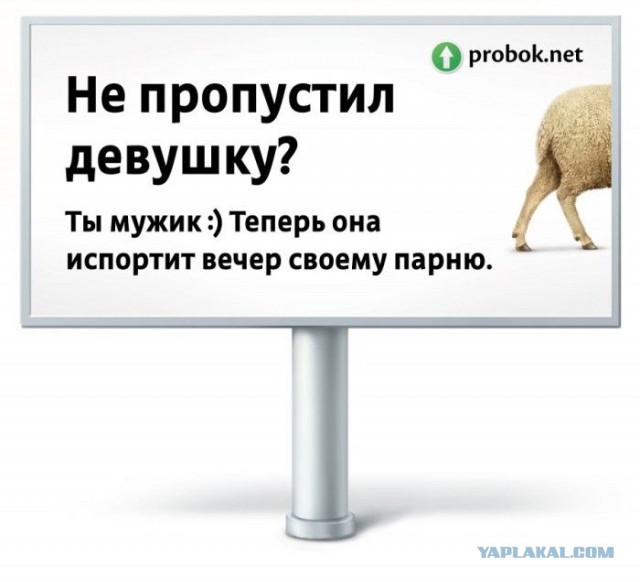 Заплатила за проезд по встречке