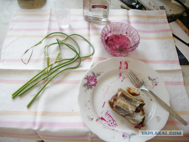 Кухня (кулинарное и околокулинарное общение)