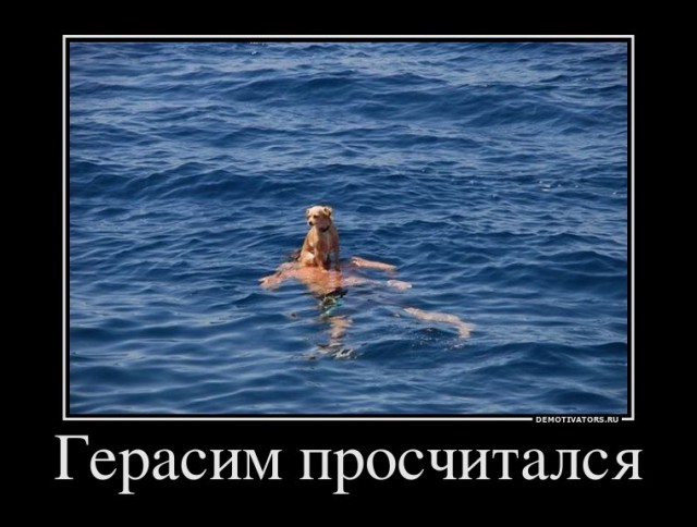 Вы хотите "демов"?