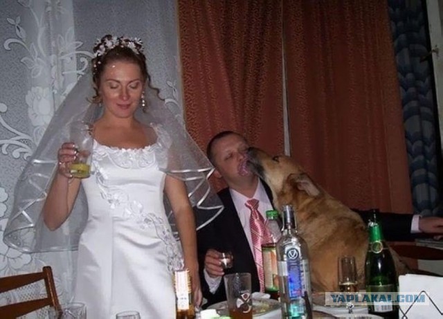 Немного свадебных фотографий