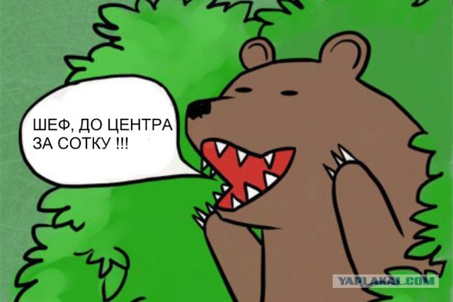 Обычное утро в Ебурге ...