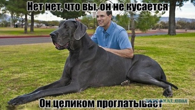Картинки набрались разные