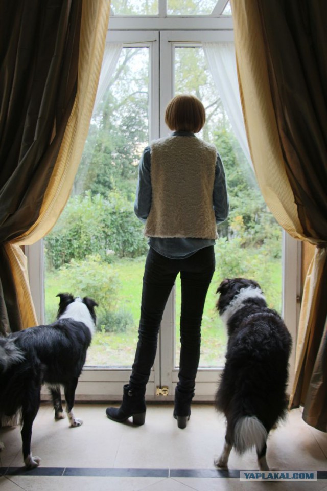 Собакочетверг