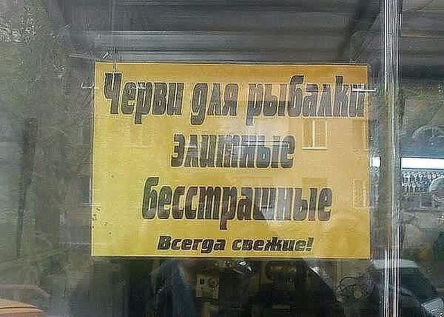 Бессмысленные и беспощадные объявления, вывески и реклама