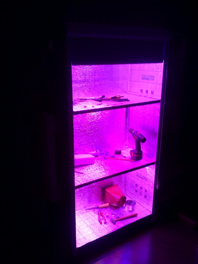 Огород круглый год