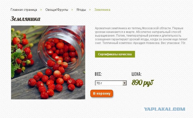 Импортозамещение головного мозга. Клубника.