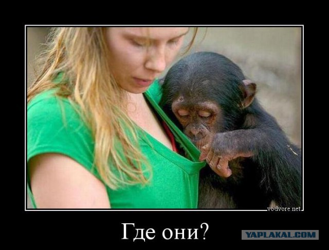 Абсурдный юмор ч.21