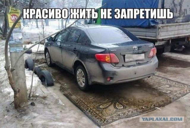 Авто приколы!