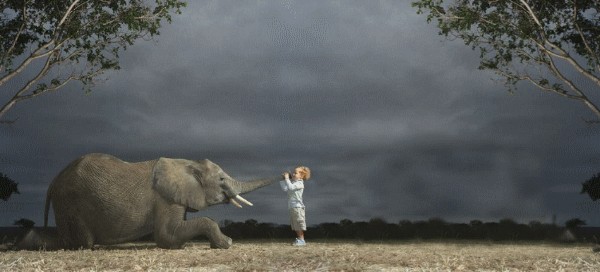 Фотожаба: Дареному слону..
