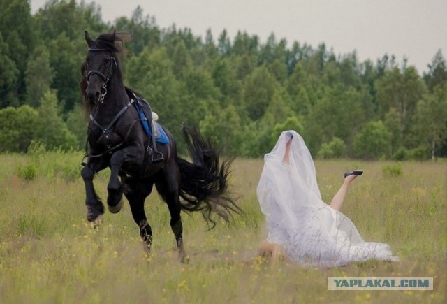 Подборка картинок ...