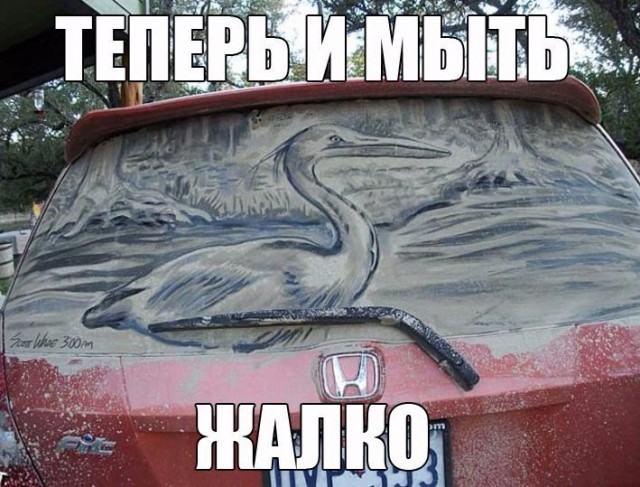 Подборка безудержного веселья