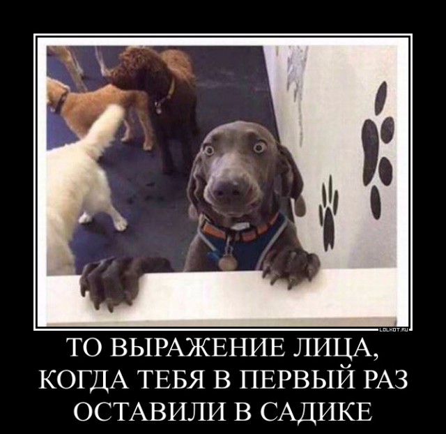 Картинки. Интересные, старые и не очень.