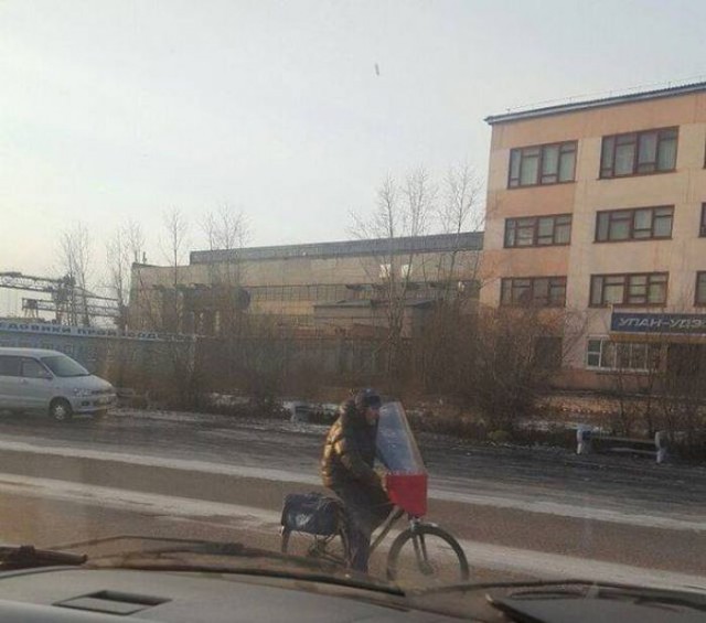 Подборка безудержного веселья