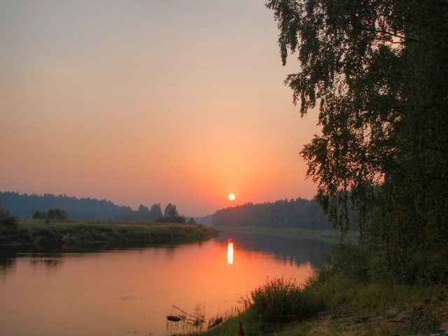 Несколько летних дней на Мологе. Фотоподборка.