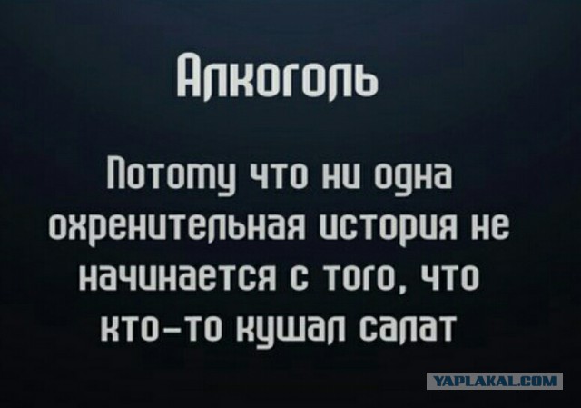 Немного деграданса - 6
