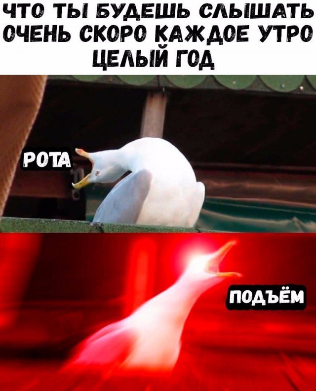 Всякая всячина