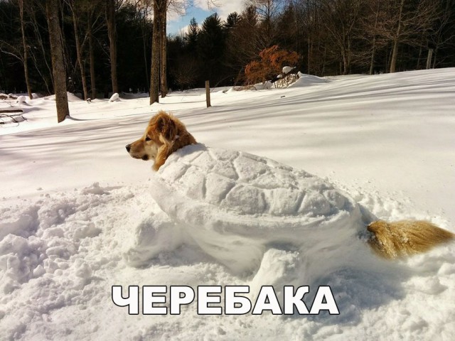Нестандартный юмор