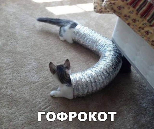 Нестандартный юмор