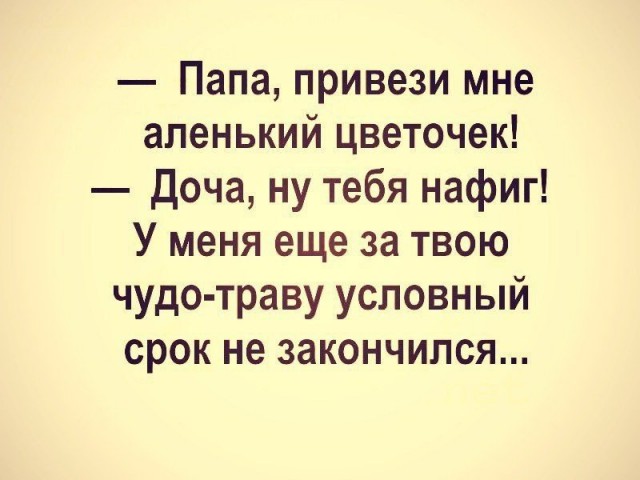 Прикольные картинки обо всём