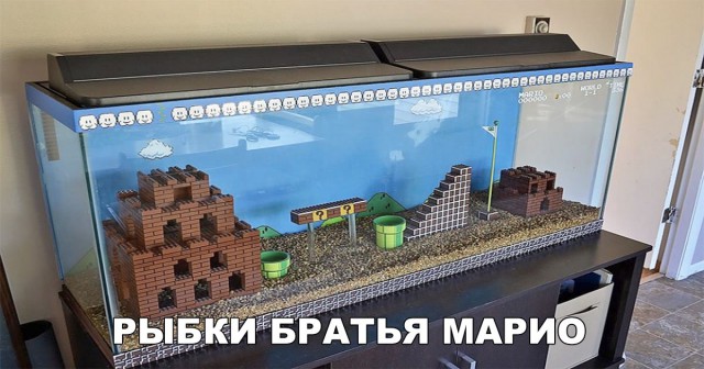 Приколы в картинках или прикольные картинки?