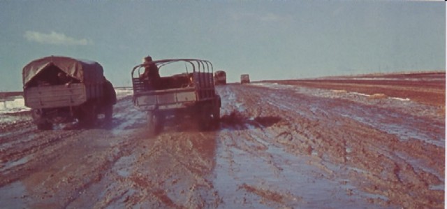 XX век представляет