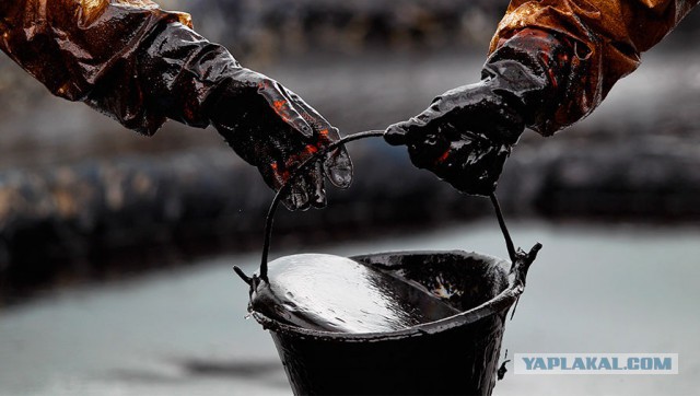 Reuters узнал о попытках российских нефтяников перевести расчеты в евро