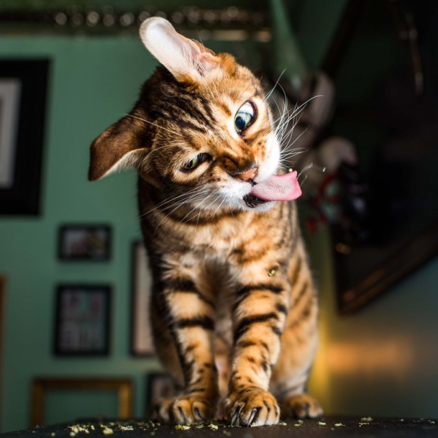 Милоты пост