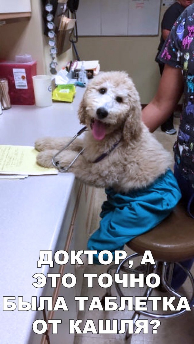 Нестандартный юмор