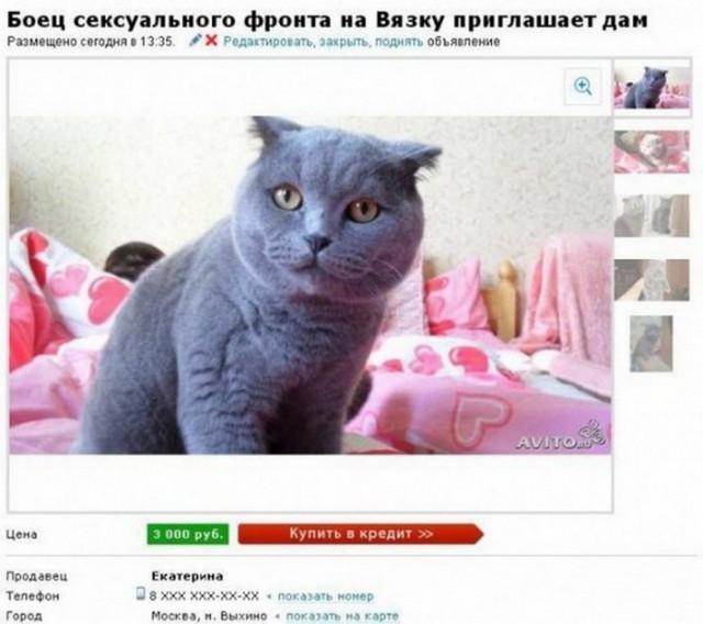 Дай дураку лобзик