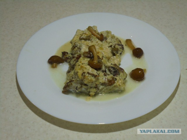 Сон в новогоднюю ночь