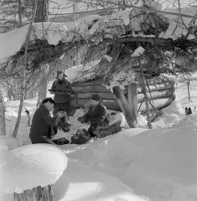 1950-е. Охота в Сибири на фотографиях Марка Степановича Редькина