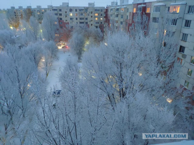 Петербург. Весна. Ничего необычного