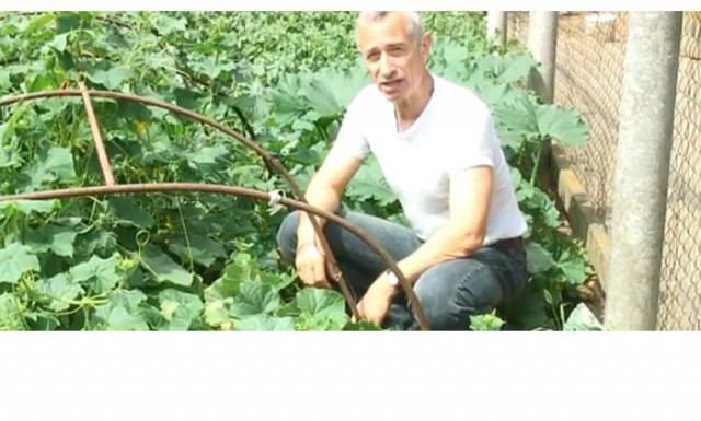 Прямая линия 20.06.2019