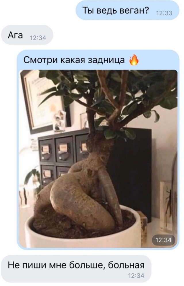 Весёлый коронавирус и не только