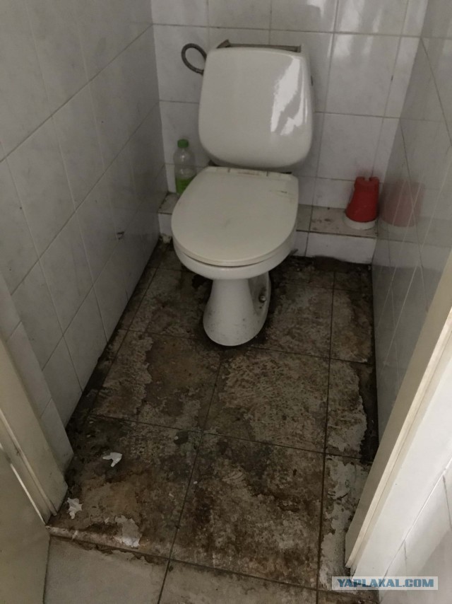 Вся жесть сурового Омского туалета на рынке