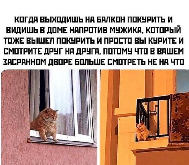 Бредзона 22.04.20