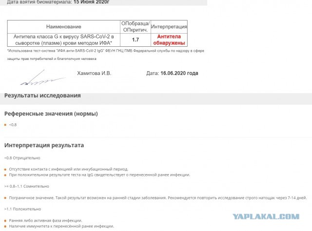 Пандемия. Коронавирус. Россия и мир. Последняя информация. Часть 17