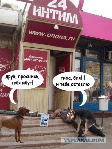 Фотожаба: Еще один путь самурая