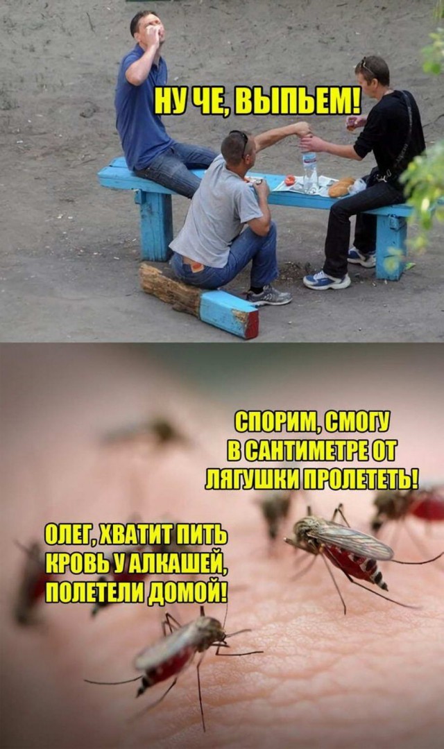 Юмор в картинках