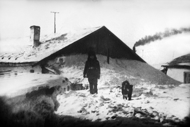 А давай купим дачу...