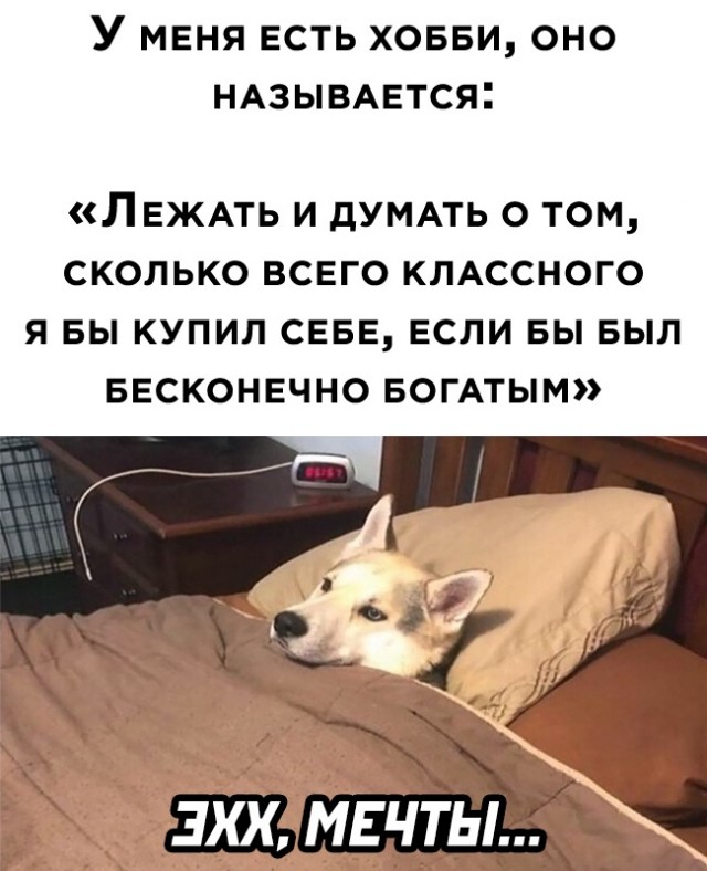 Весёлый полтишок 7.03