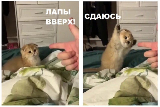 Картинки разные