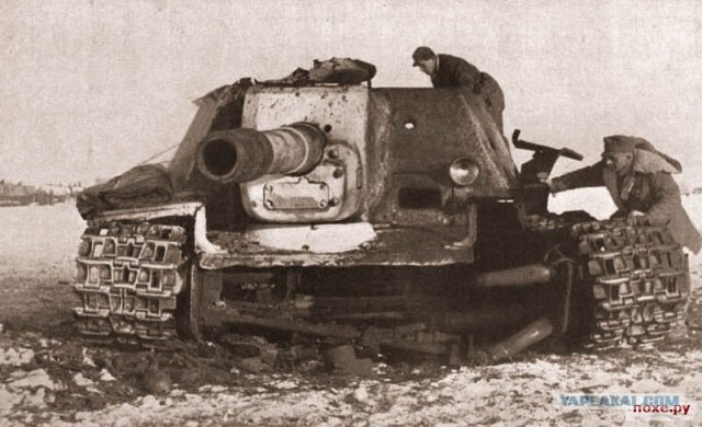 Оживший "Зверобой" ИСУ-152