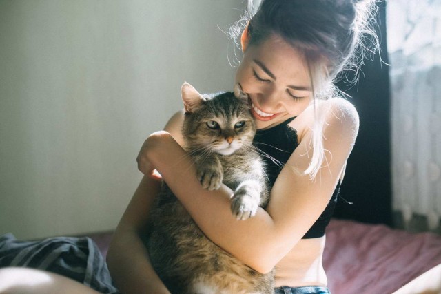 Девушки котовторника